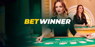 Explore the Exciting World of Betwinner Casino 19